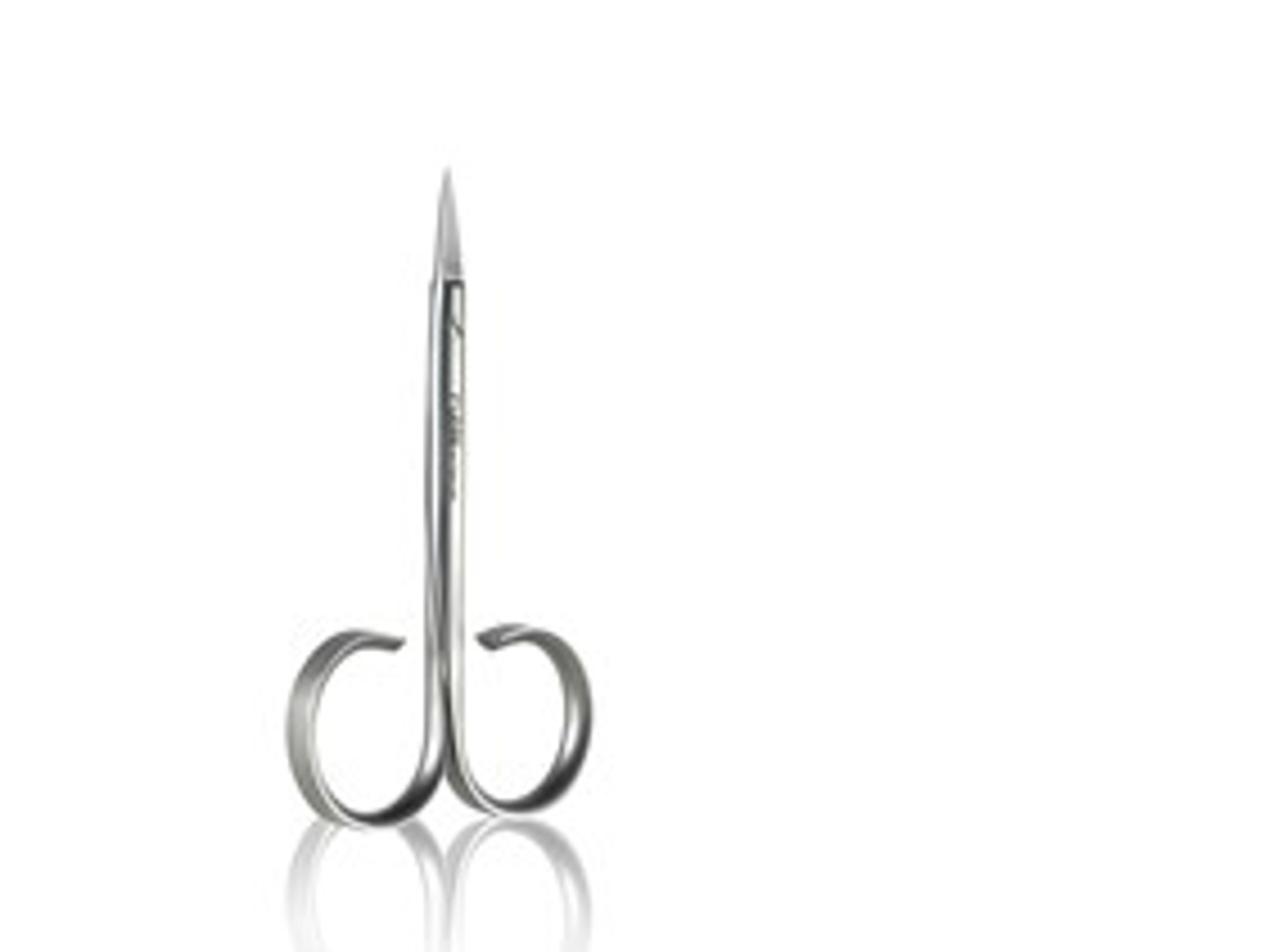 Scissors Classic 1F010 01 Gerade Spitze Web