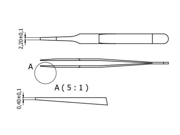 F-SA_1